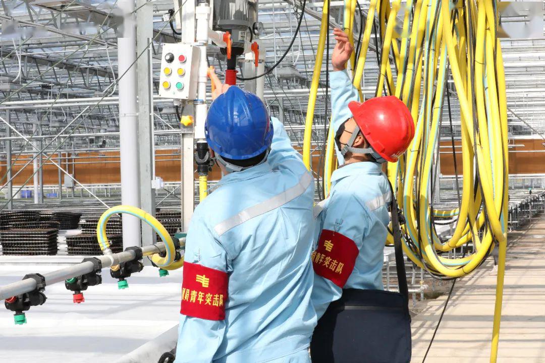 草海機場最新動態(tài)揭秘，建設(shè)進展、航班信息及未來展望