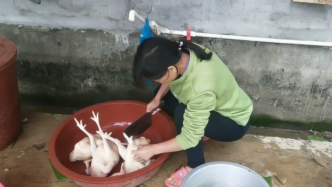 關(guān)于阿梅殺雞視頻的理性分析與網(wǎng)絡(luò)倫理道德探討，警惕涉黃內(nèi)容侵蝕社會(huì)倫理底線。