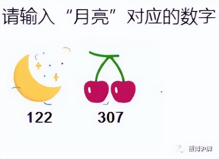 最新滬牌價格揭秘，小巷中的特色小店探秘