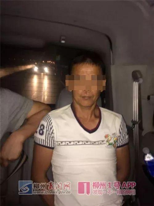 鹿寨最新租房信息，科技智能引領(lǐng)租房新體驗(yàn)