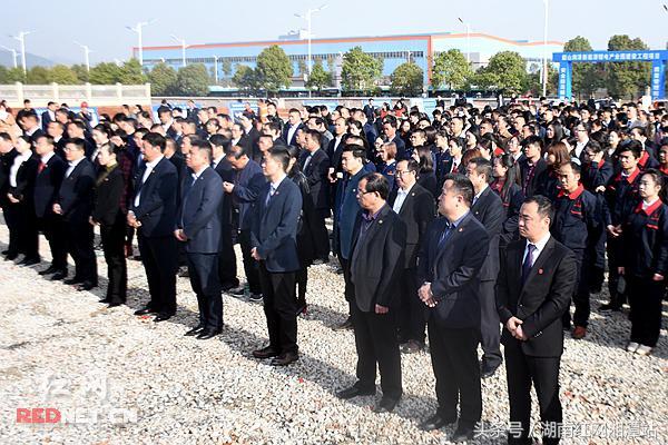 韶山紅網(wǎng)最新動(dòng)態(tài)，觀點(diǎn)闡述與深度解析