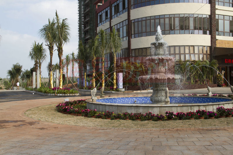 棕櫚水城最新動(dòng)態(tài)，塑造理想生活新標(biāo)桿！