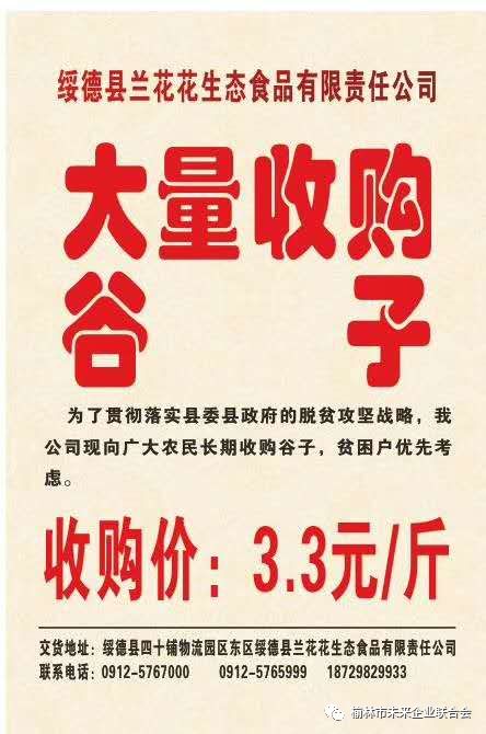 淄川最新財(cái)務(wù)招聘，職業(yè)發(fā)展的理想選擇