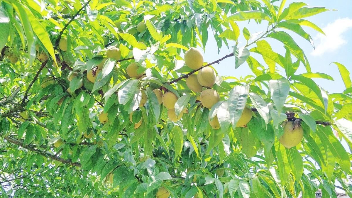 簡(jiǎn)暗最新小說(shuō)揭秘科技新品，智能生活體驗(yàn)新紀(jì)元