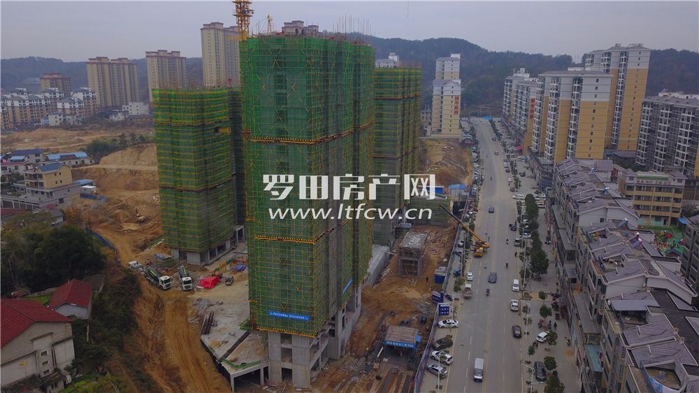 羅田最新房價揭秘，洞悉市場動態(tài)，掌握房價走勢！