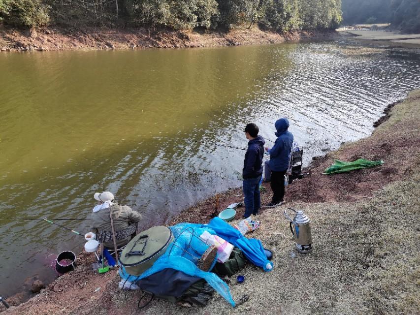 最新水庫釣魚視頻，探索釣魚樂趣與技巧全攻略