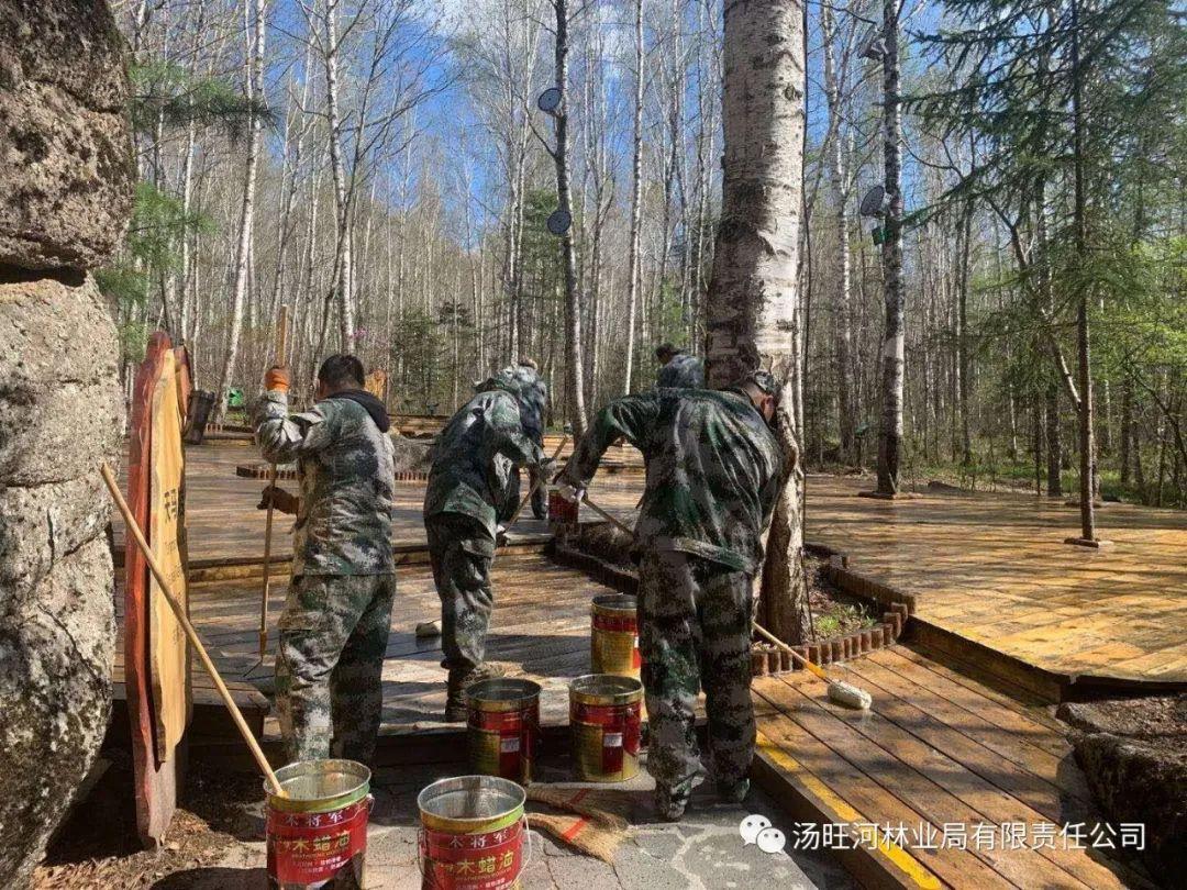 探尋神秘寶石世界的獨(dú)特魅力，最新奇石新聞報道