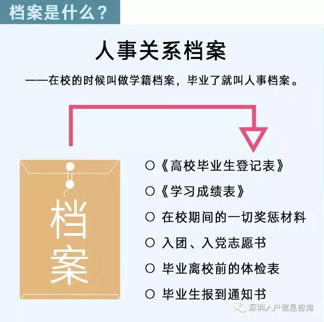 檔案人員補(bǔ)貼最新觀點(diǎn)論述，探討補(bǔ)貼政策與檔案人員發(fā)展的關(guān)系