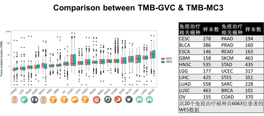 王中王375959cm開獎結果,數(shù)據(jù)驅(qū)動決策_SLF27.152融合版