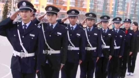 寧國(guó)最新保安招聘及其探討，行業(yè)現(xiàn)狀與發(fā)展趨勢(shì)分析