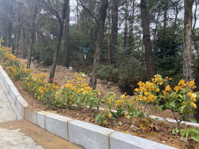 桂平手工，傳統與創(chuàng)新的完美交融