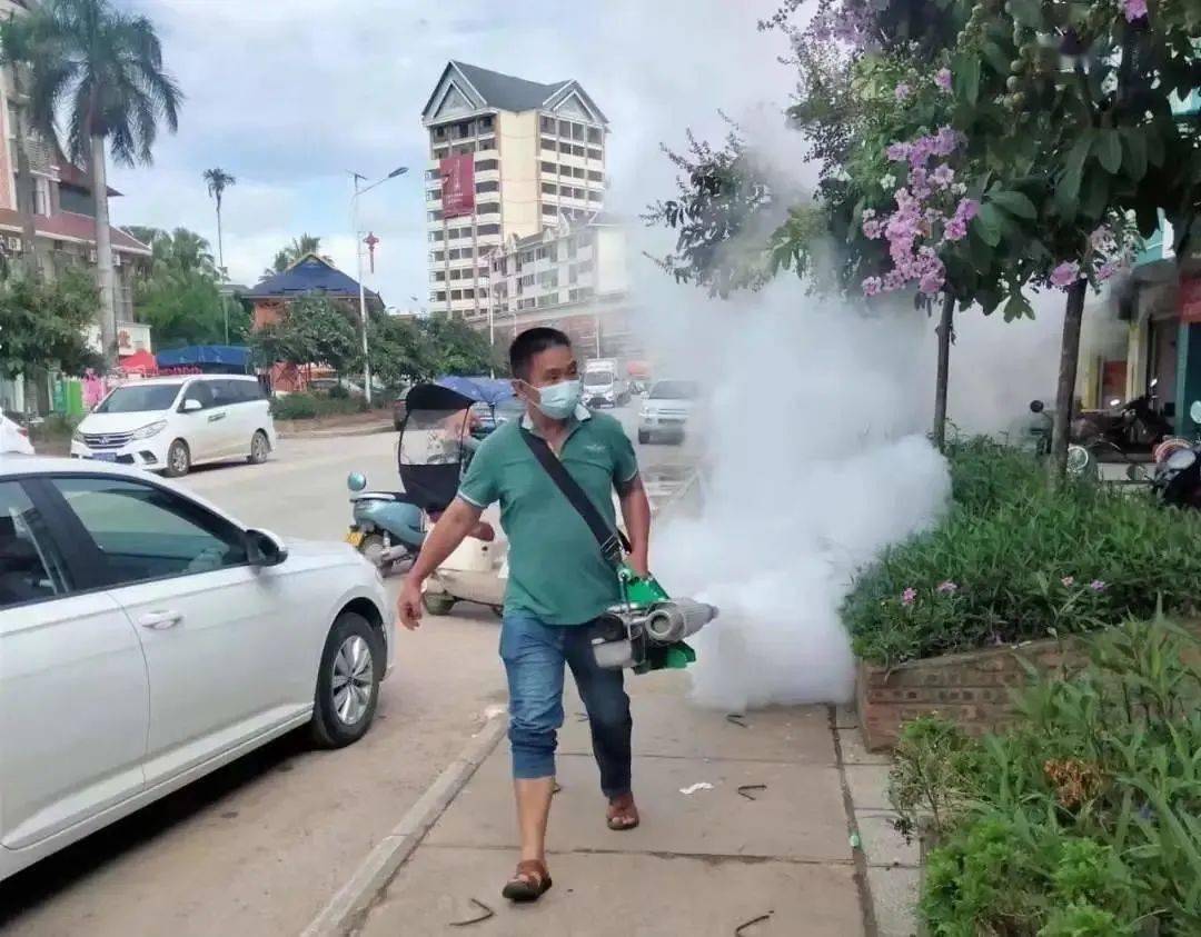 景洪登革熱最新疫情動(dòng)態(tài)，挑戰(zhàn)與自信之光的博弈