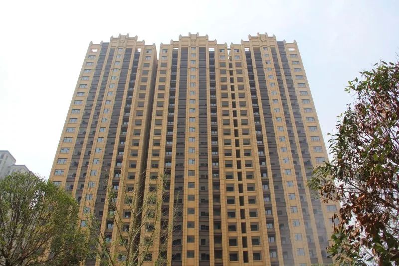 紫荊城邦最新動態(tài)，揭開未來生活新篇章的序幕