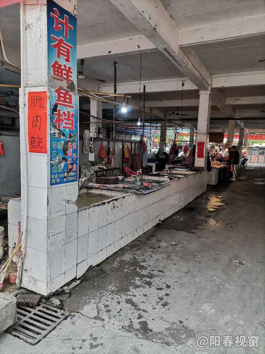 最新魚(yú)檔轉(zhuǎn)讓?zhuān)盐丈虣C(jī)，輕松開(kāi)啟水產(chǎn)養(yǎng)殖事業(yè)之路