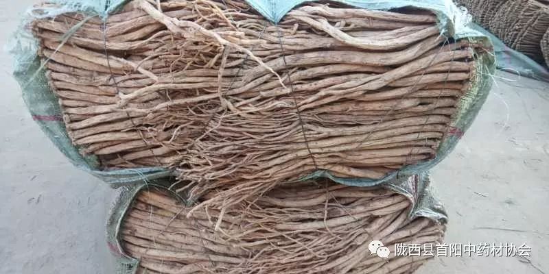 渭源黨參干貨最新價格及獲取指南，了解黨參干貨價格走勢與行情分析