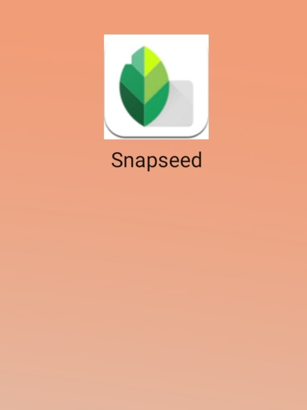 最新snapseed中文版，科技重塑影像，讓生活因攝影更精彩