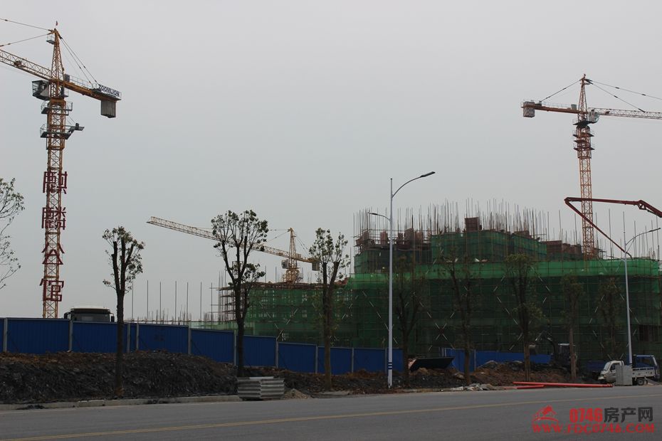 池州麒麟公館最新動態(tài)揭秘，最新進(jìn)展與資訊更新