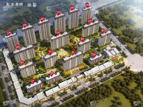明光東郡最新動(dòng)態(tài)，友情的綻放與家的溫馨日常