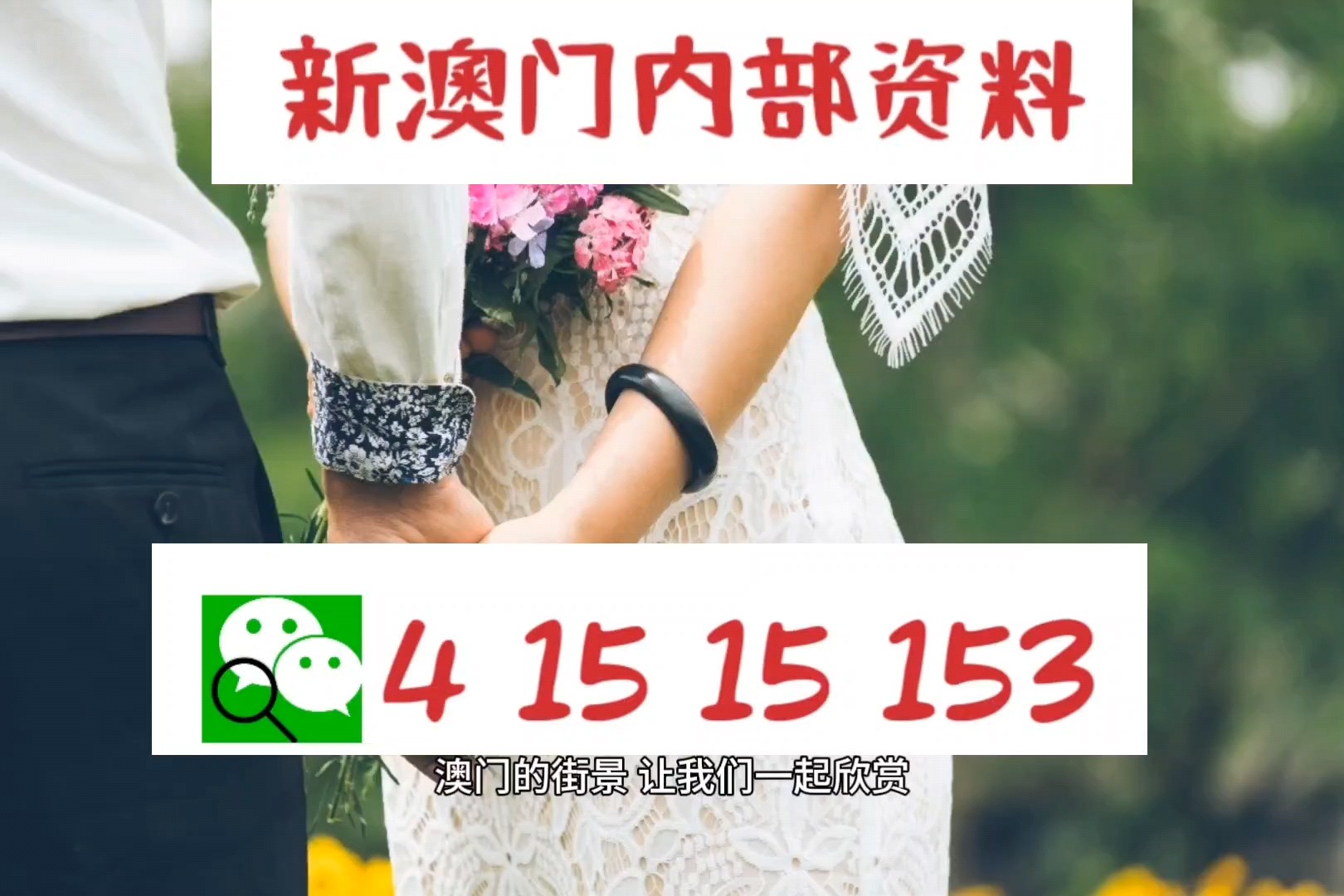 新澳門免費(fèi)資料最新版,精準(zhǔn)解答方案詳解_NYH94.843經(jīng)典版
