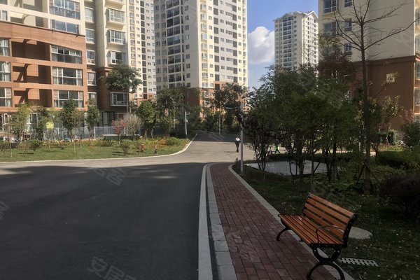 建禮家園最新動態(tài)，小巷中的隱藏瑰寶揭秘