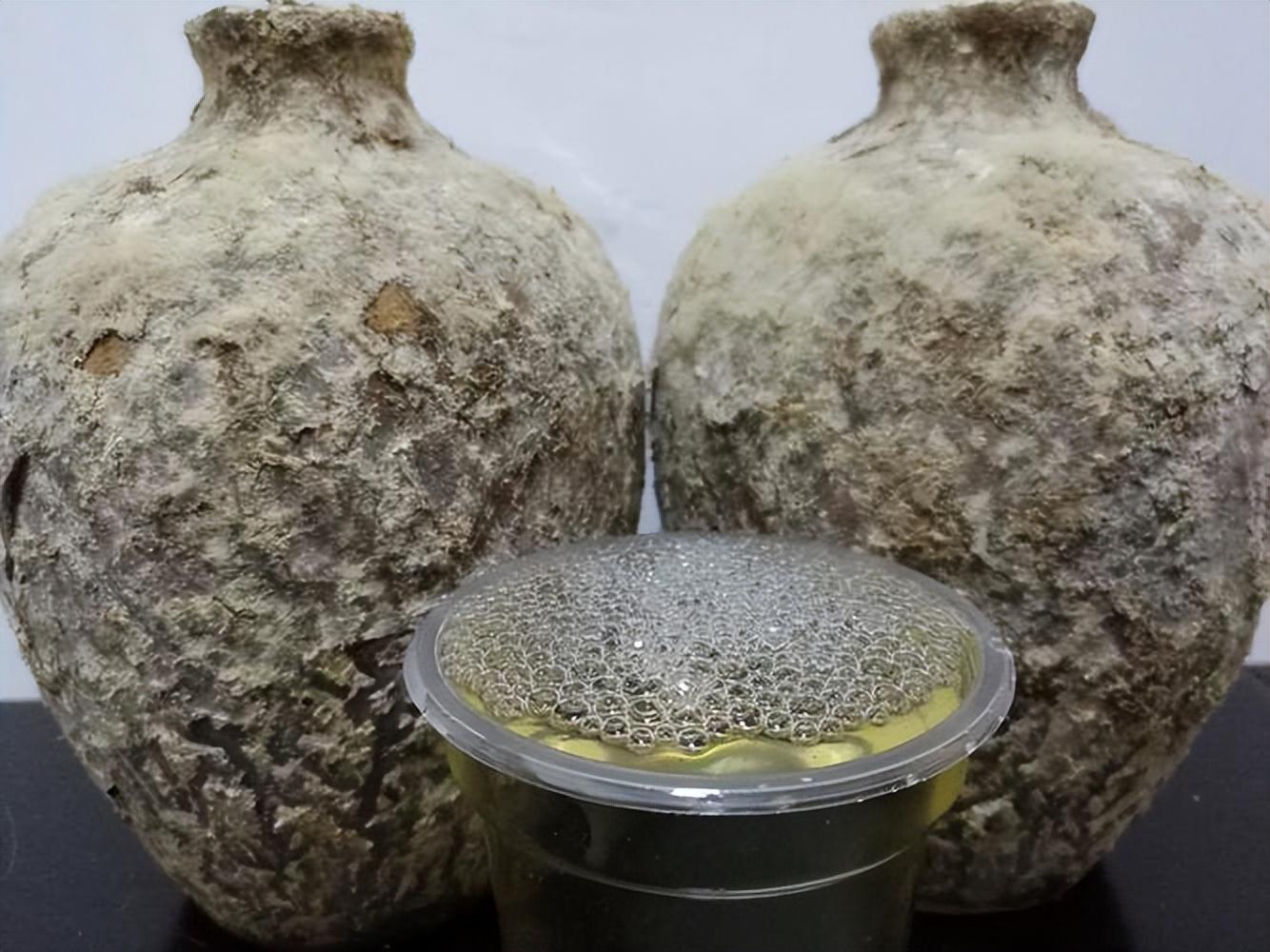 仁懷房屋出售最新信息，科技與家居融合，未來(lái)家居新體驗(yàn)重磅推出