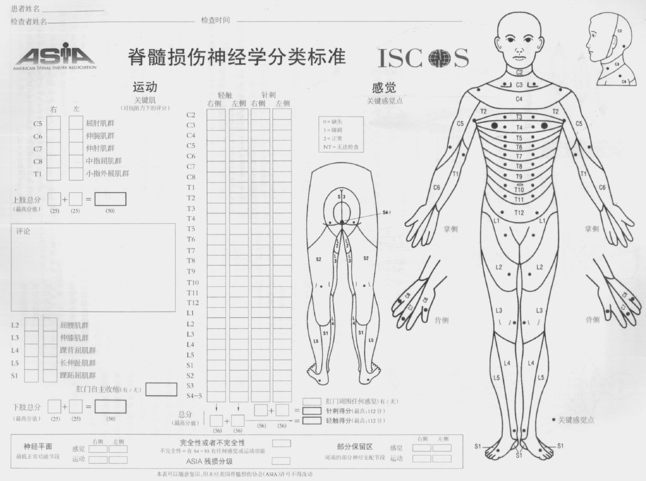 國(guó)際脊髓損傷最新突破進(jìn)展迅速，帶來(lái)重大突破！