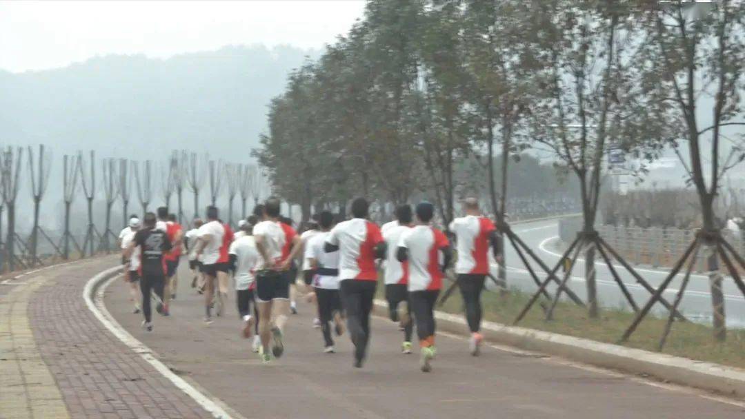 古田環(huán)湖路最新動(dòng)態(tài)揭秘，時(shí)代脈搏與城市發(fā)展的融合之路