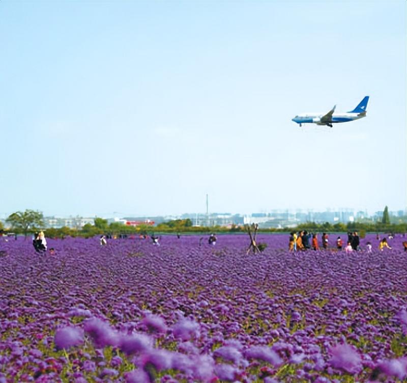 蘭州新區(qū)最新招工信息及小巷風(fēng)味小店探秘