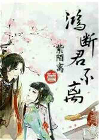 沈南汐最新小說，知識的力量，成就夢想的翅膀之路