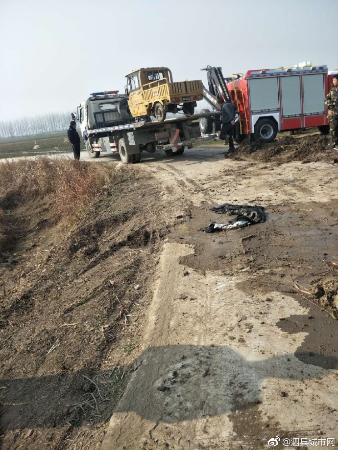 泗縣車禍悲劇，警醒與深思背后的最新新聞報道