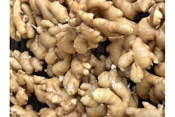 昌邑生姜市場(chǎng)最新價(jià)格指南，全面了解生姜市場(chǎng)行情與價(jià)格動(dòng)態(tài)