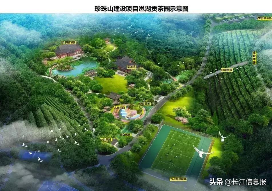 岳陽(yáng)北港小學(xué)最新動(dòng)態(tài)揭秘，校園新聞與活動(dòng)更新