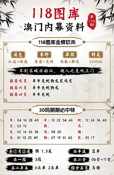 澳門九點半9點半網站,精準數據評估_VBI9.474環(huán)境版