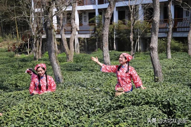 關(guān)于皇后直播探索獨(dú)特魅力小店的直播內(nèi)容探討與下載指南