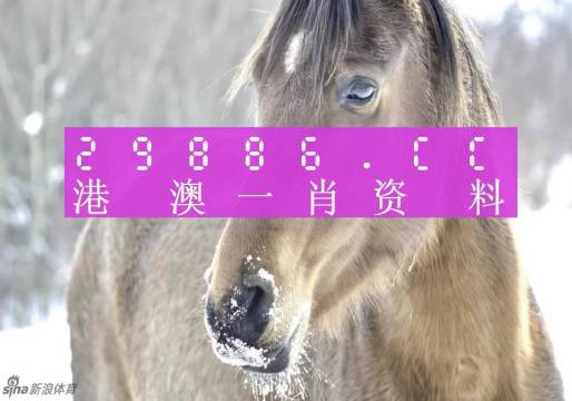 澳門(mén)精準(zhǔn)一肖一碼100%精準(zhǔn),高度協(xié)調(diào)實(shí)施_供給版77.904