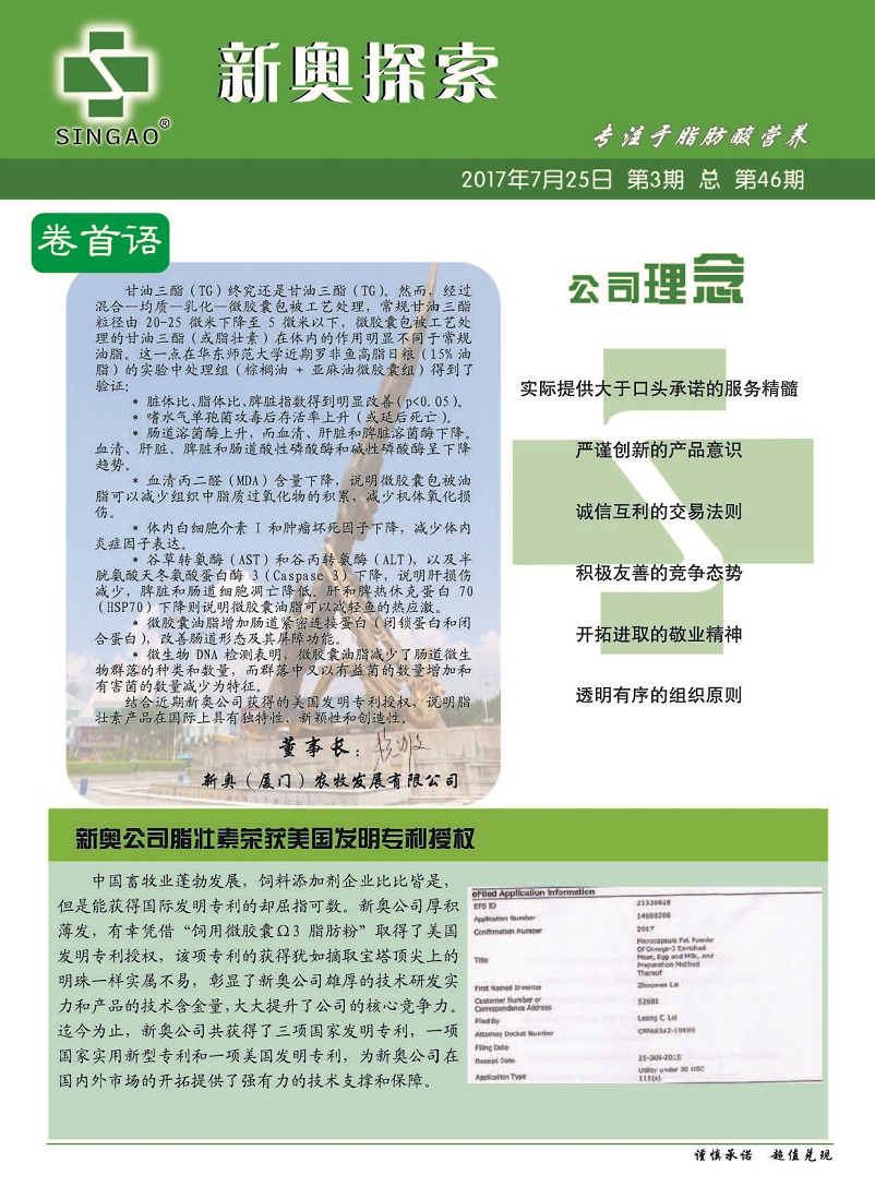 新澳精準(zhǔn)資料免費(fèi)提供網(wǎng)站有哪些,安全保障措施_流線型版36.176