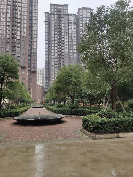 南陽盛世御苑最新動(dòng)態(tài)揭秘，全面指南與步驟詳解