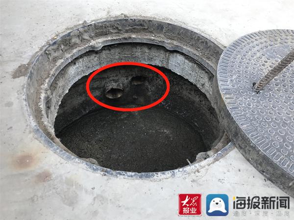 福建臺(tái)幫幫團(tuán)最新一期揭秘，小巷深處的隱藏美食瑰寶