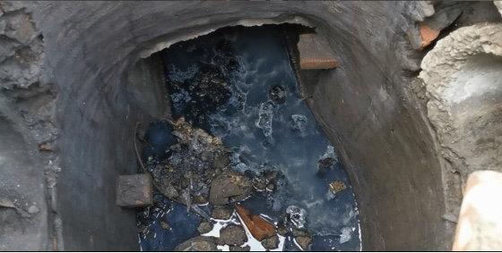 遂寧市電子廠最新招聘，與自然共舞，探尋內(nèi)心寧靜之旅