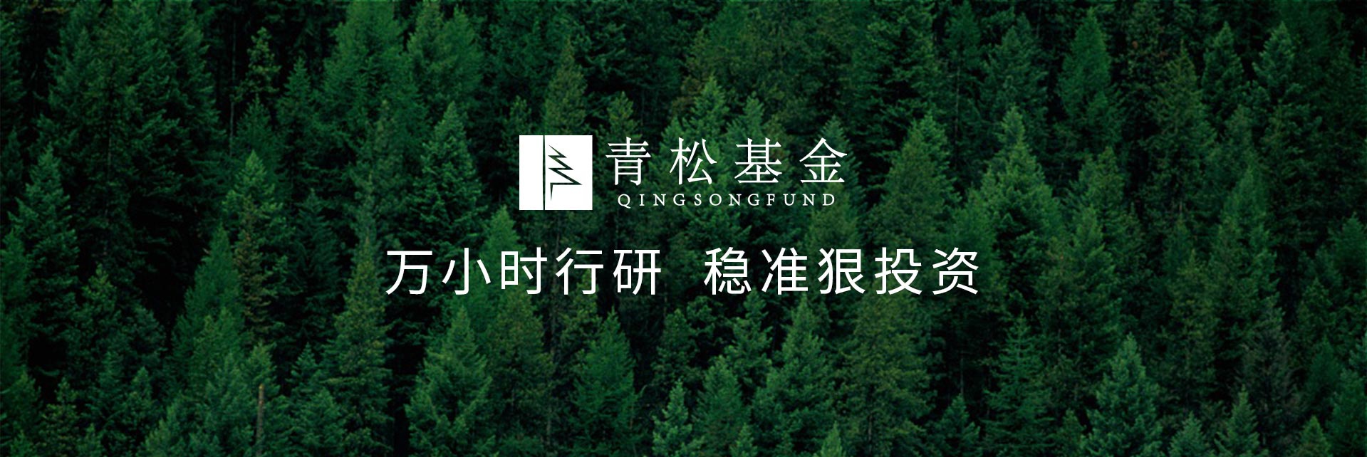 長青樹眾籌最新動態(tài)，背景、發(fā)展與時代地位探索