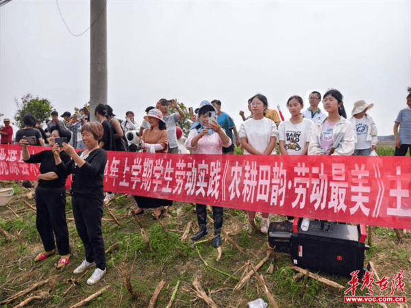 桃源木塘垸鄉(xiāng)新動(dòng)態(tài)，趣事連連，真摯友情綻放鄉(xiāng)間