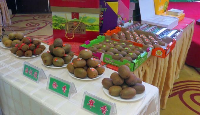 嘉興對(duì)接上海最新進(jìn)展，城市崛起中的自信與成就感展現(xiàn)新面貌