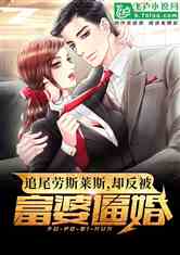 運(yùn)動(dòng)場(chǎng)館燈具 第236頁