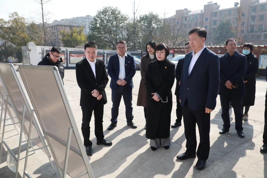 良渚大陸村最新規(guī)劃圖揭秘，小巷中的獨(dú)特風(fēng)情探索