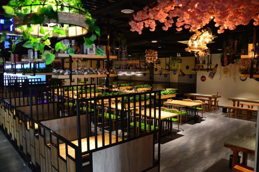 中餐廳最新一期音樂，熱門旋律與節(jié)目魅力的完美交融