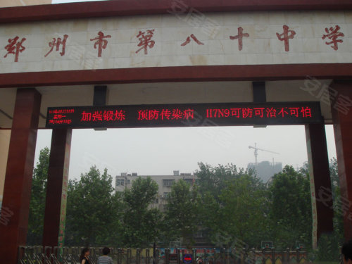 中原區(qū)九龍城最新動態(tài)深度解析，最新進展與觀點闡述