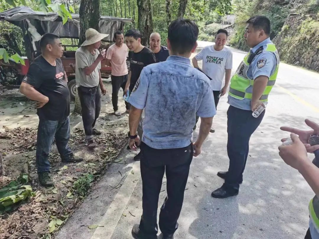 慶元最新事件，引領(lǐng)科技潮流的高科技產(chǎn)品揭秘