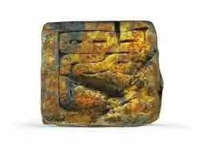 余厚蜀最新動(dòng)態(tài)，科技前沿探索與行業(yè)創(chuàng)新引領(lǐng)