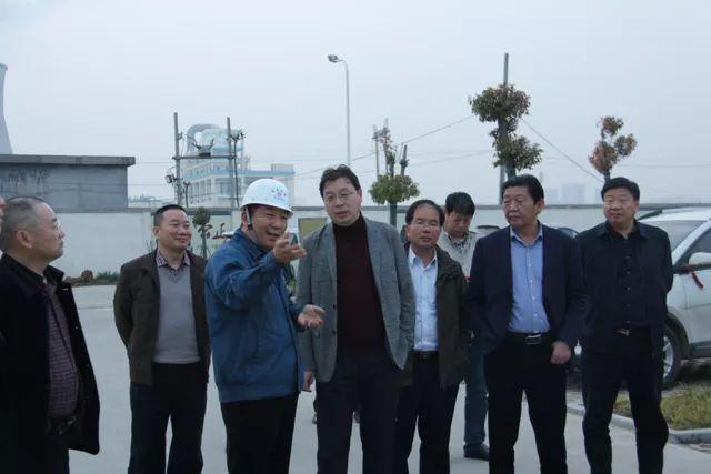 葉縣最新經(jīng)濟(jì)形勢與小巷中的隱秘寶藏揭秘