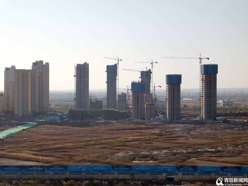 青島最新項目啟航新征程，自信成就夢想之路